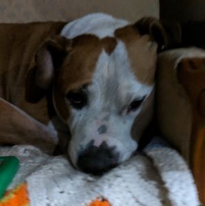 Meet your Posher, Kyrie